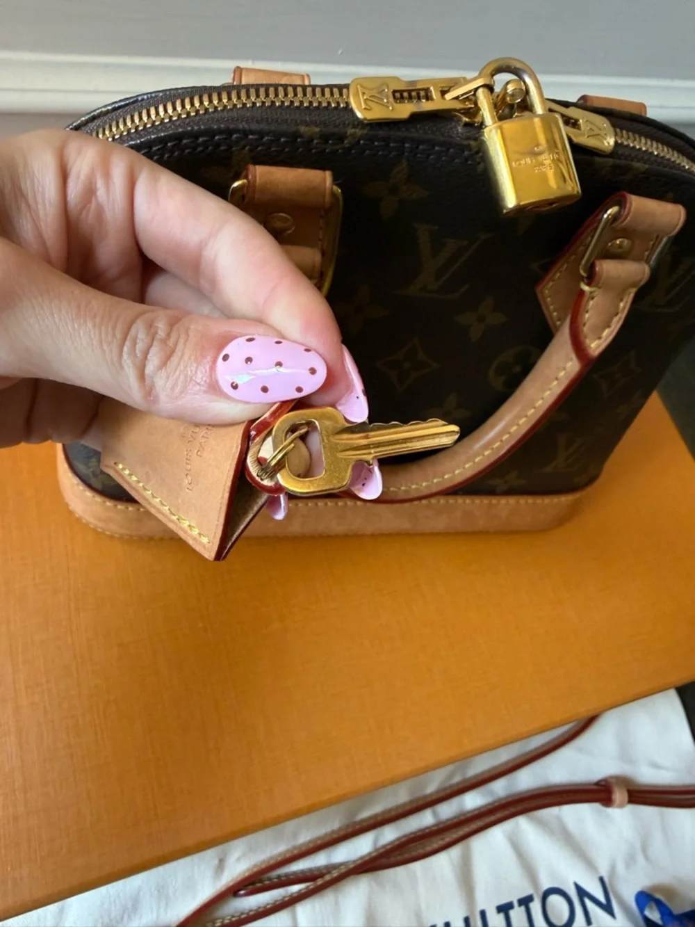 Louis Vuitton authentic louis